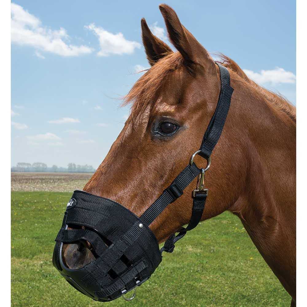 Poly Grazing Muzzle T926640