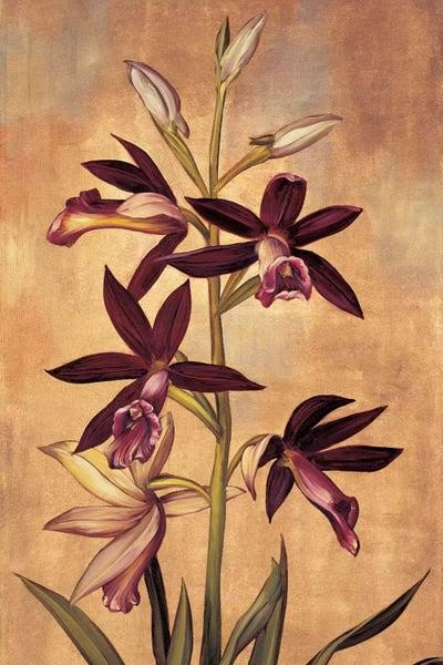 Framed Canvas Art Gold Floating Frame Burgundy Orchid T70325