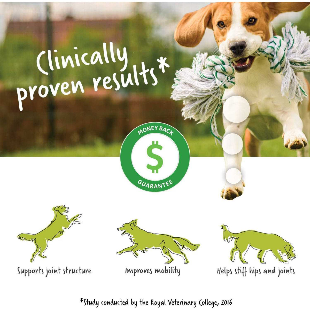 Soft Chew Dog Supplement O75267