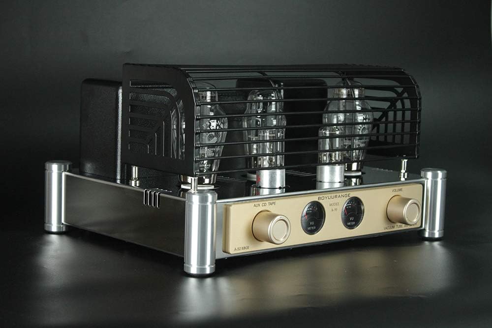300B Tube Amplifier with Tube Cage O5440