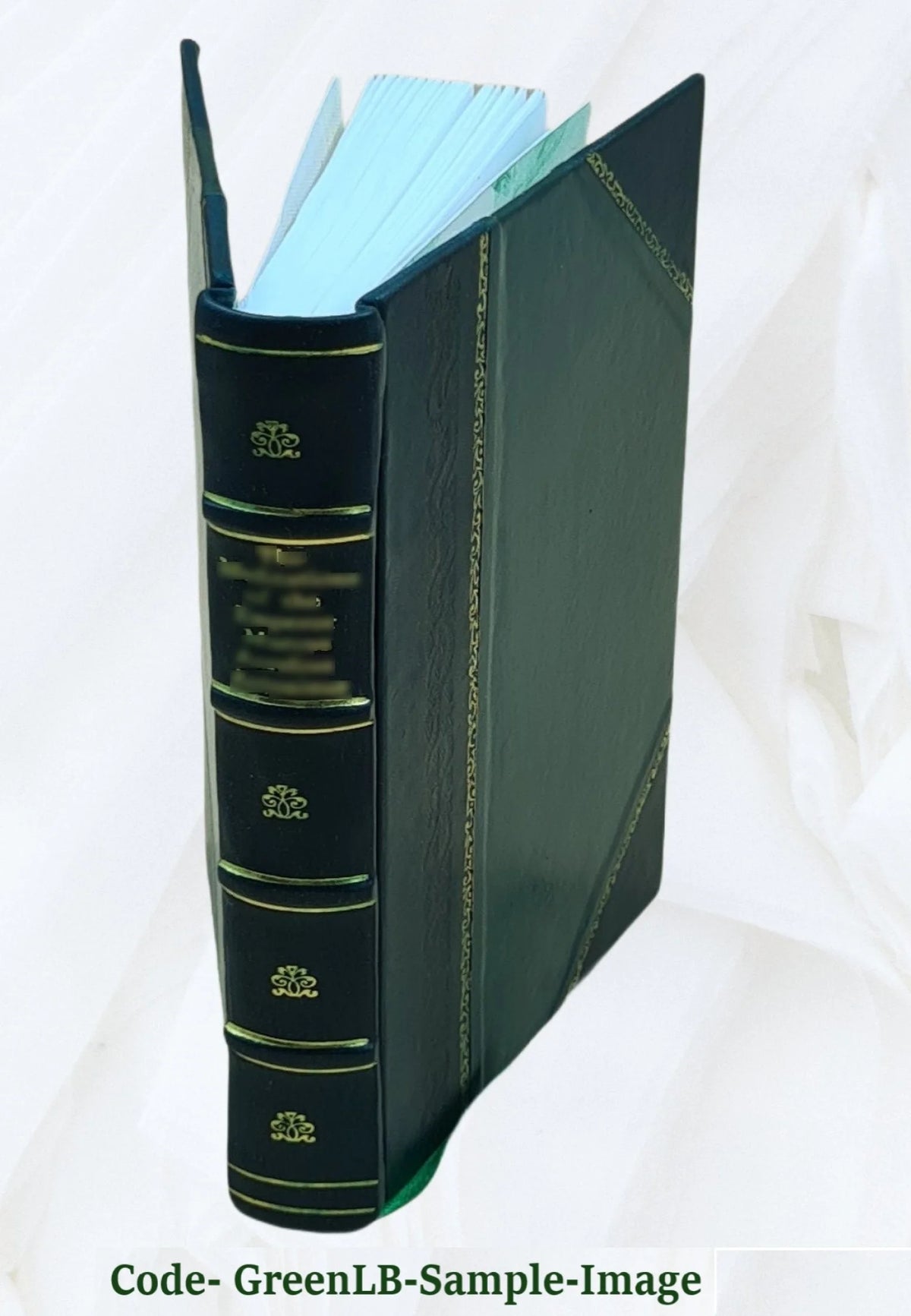 Leather Bound Book U195425