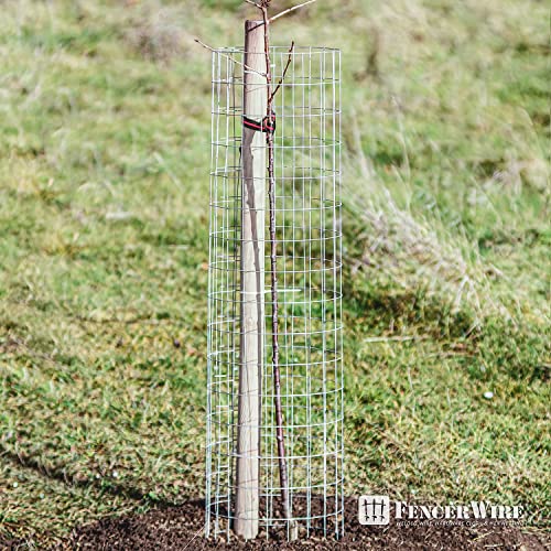 14 Gauge Galvanized Welded Wire Mesh 2 inch by 4 inch R578