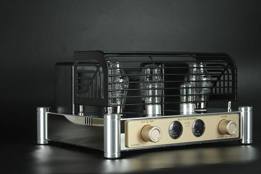 300B Tube Amplifier with Tube Cage O5440