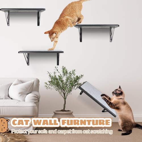 Black Cat Wall Shelves Set of 2 M856