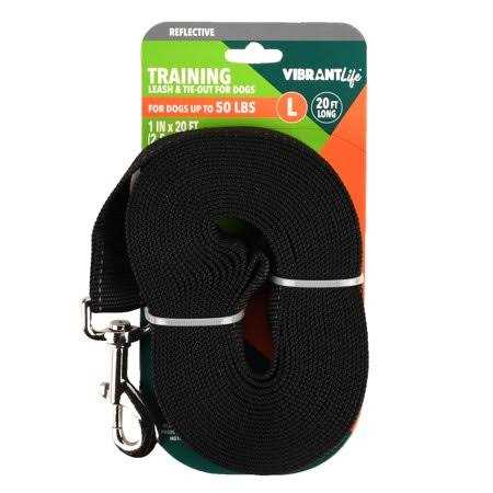 20′ Polyester Slip Lead Dog Leash T8715