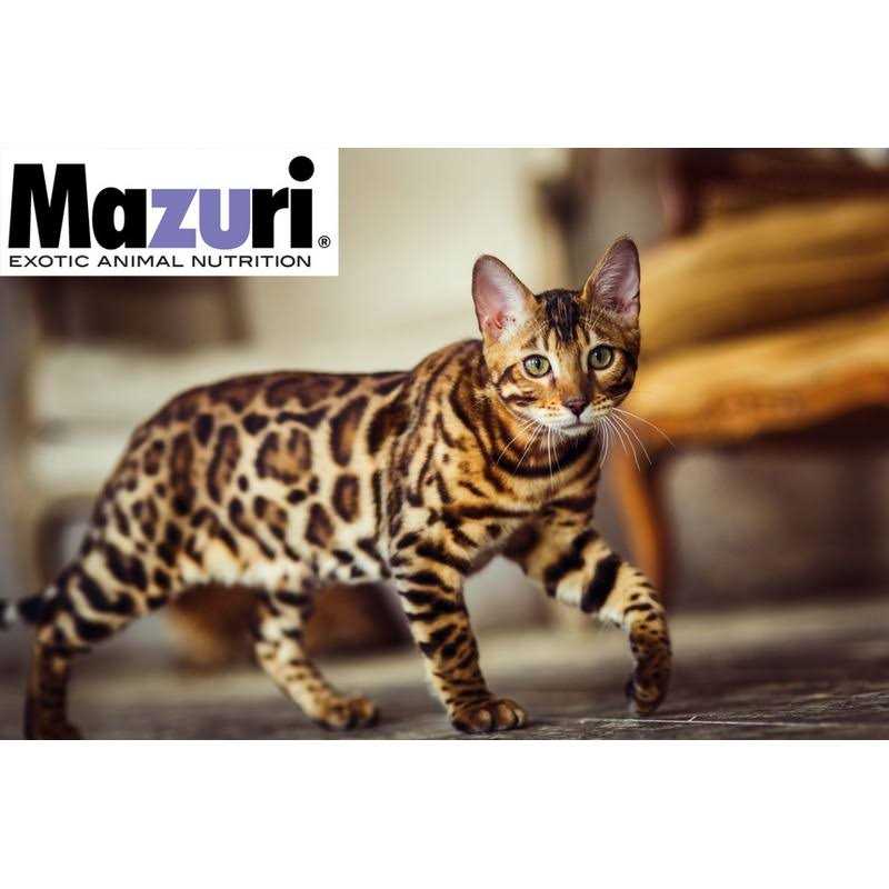 Exotic Feline Diet S6995