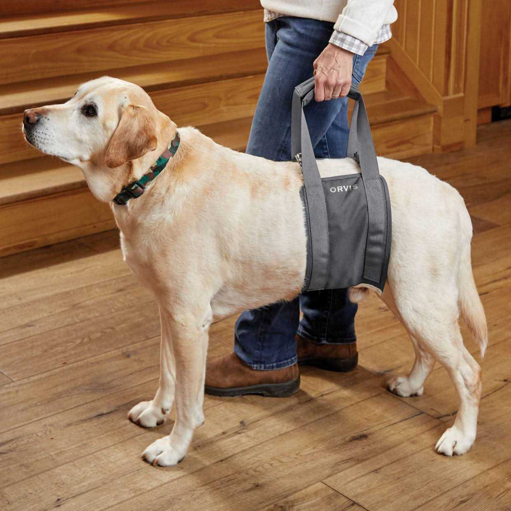 Gray Rear Dog Lift A3136