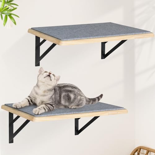 Black Cat Wall Shelves Set of 2 M856
