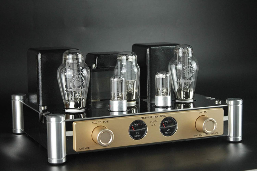 300B Tube Amplifier with Tube Cage O5440