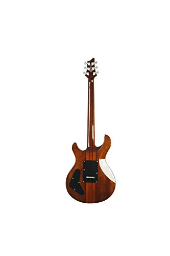 Tobacco Sunburst 6 String Acoustic-Electric Guitar N867423