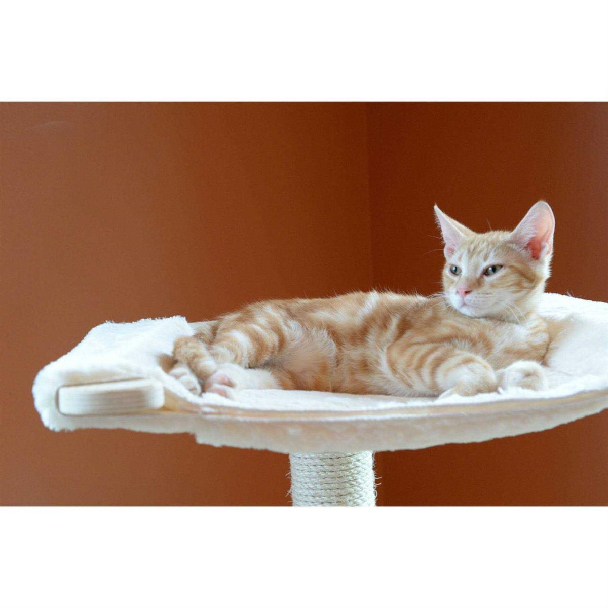 54-Inch Wood Cat Tree with Three Levels Z82276