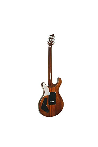 Tobacco Sunburst 6 String Acoustic-Electric Guitar N867423