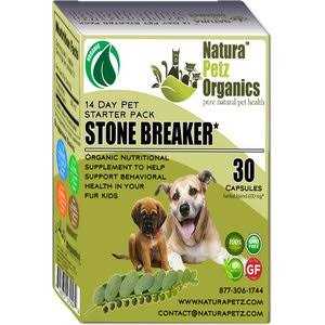 Homeopathic Medicine for Urinary Tract Infections UTI for Dogs P248
