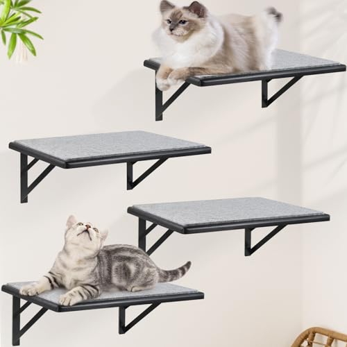 Black Cat Wall Shelves Set of 2 M856