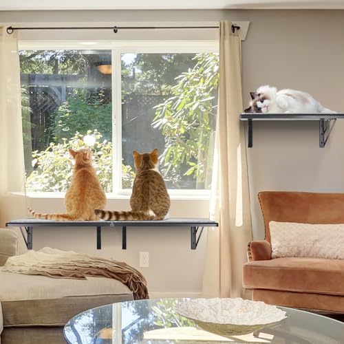Black Cat Wall Shelves Set of 2 M856