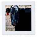 Black and White Cow Quilt Square 10 by 10-inch I743881