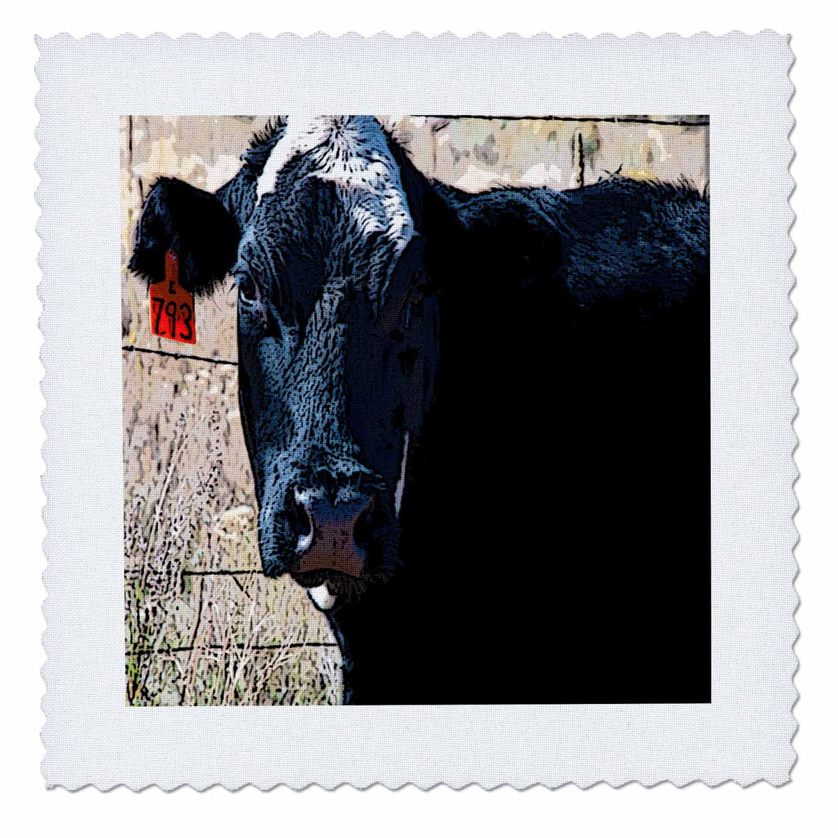 Black and White Cow Quilt Square 10 by 10-inch I743881
