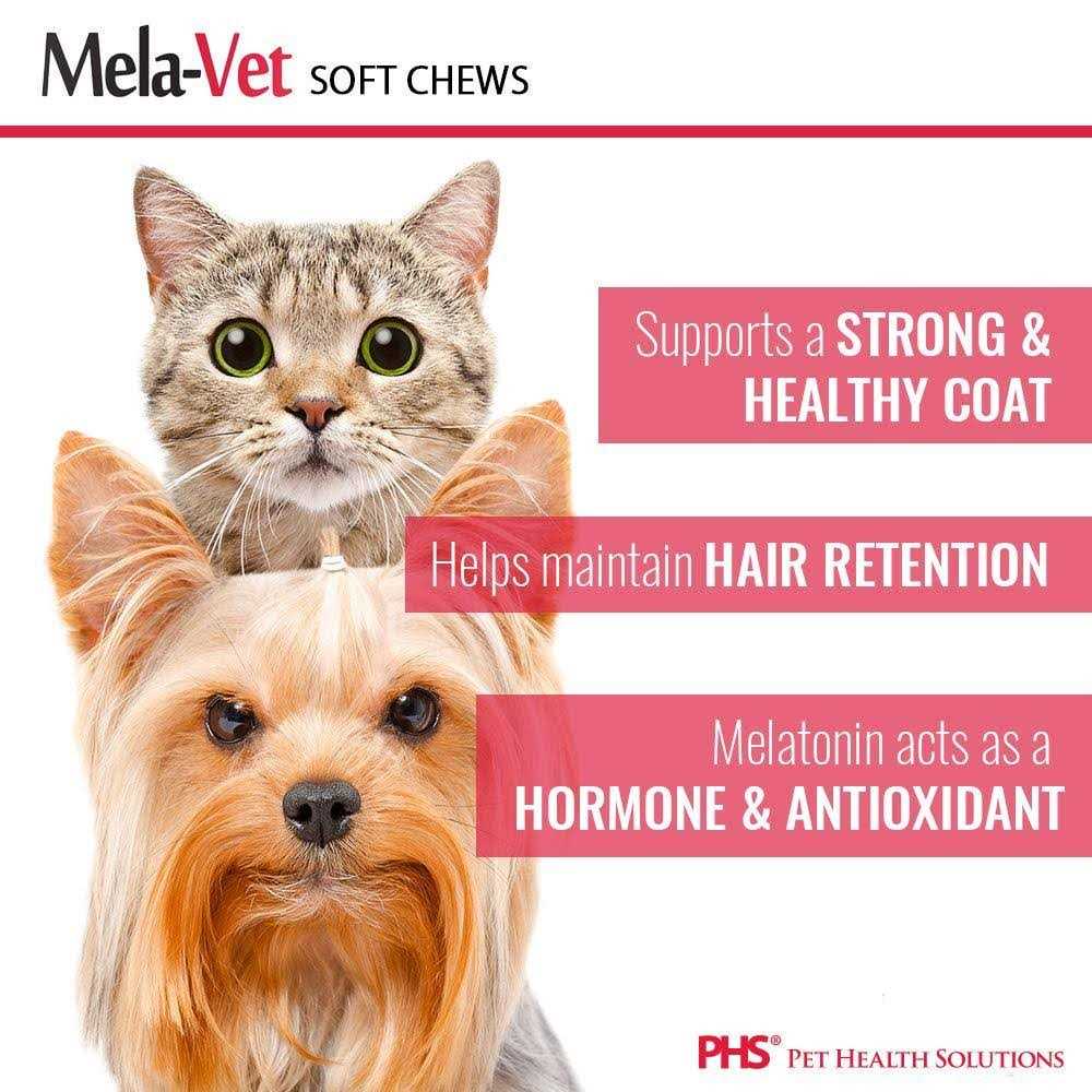Melatonin Soft Chews for Dogs & Cats D739385