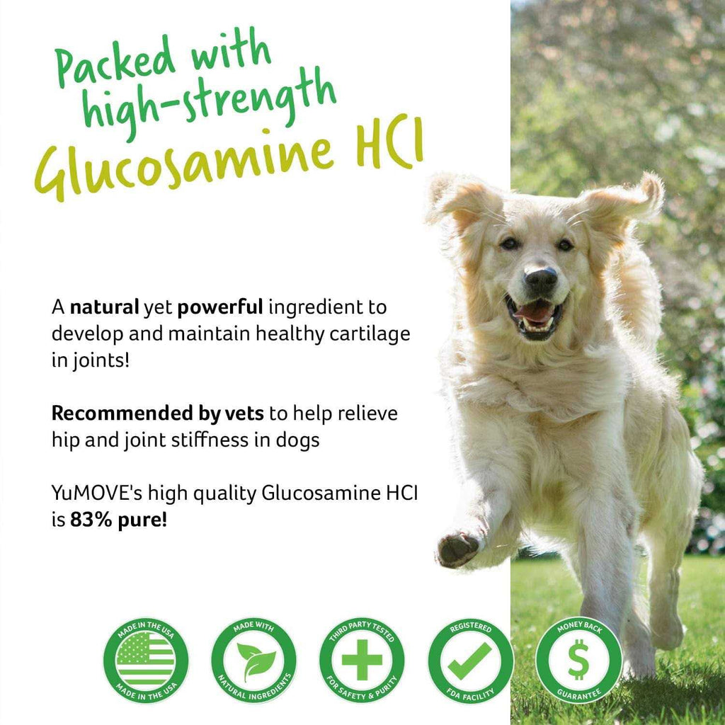 Soft Chew Dog Supplement O75267