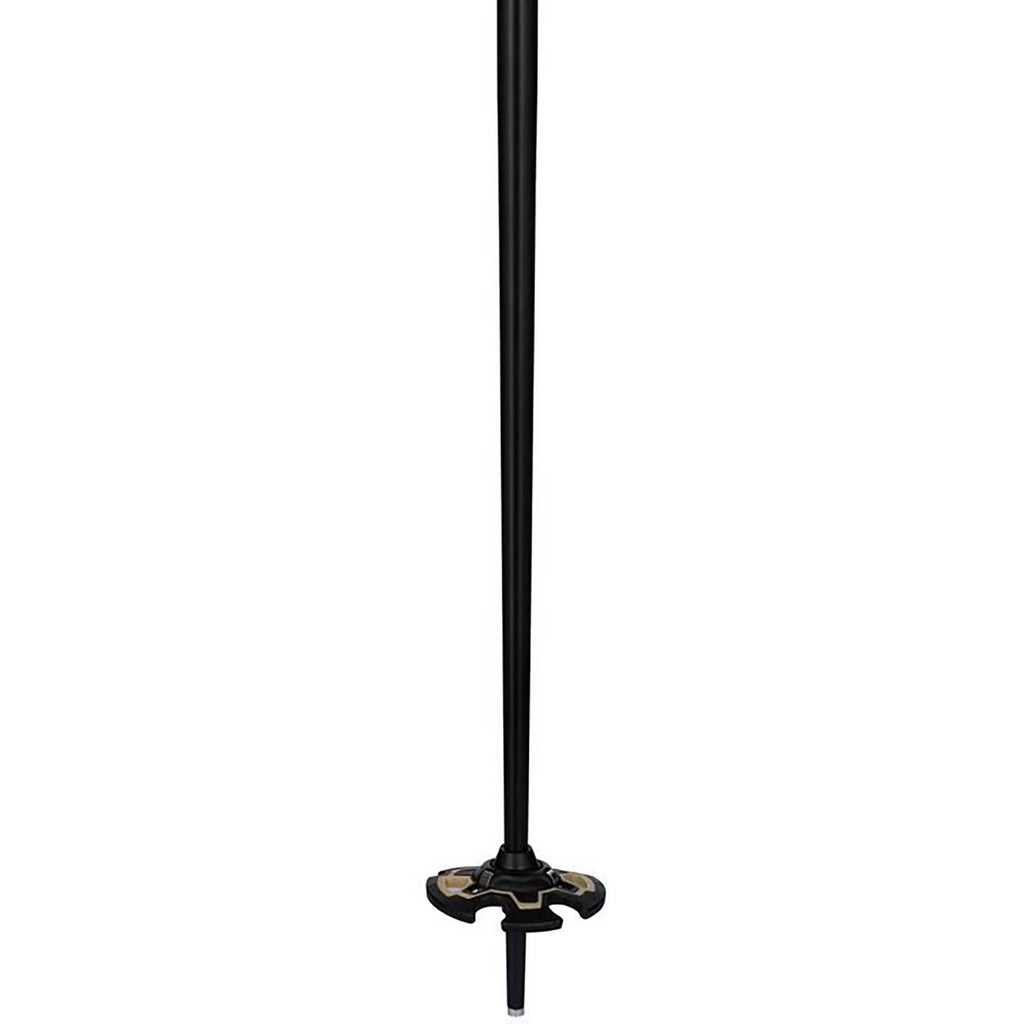 Freeride Ski Poles J385