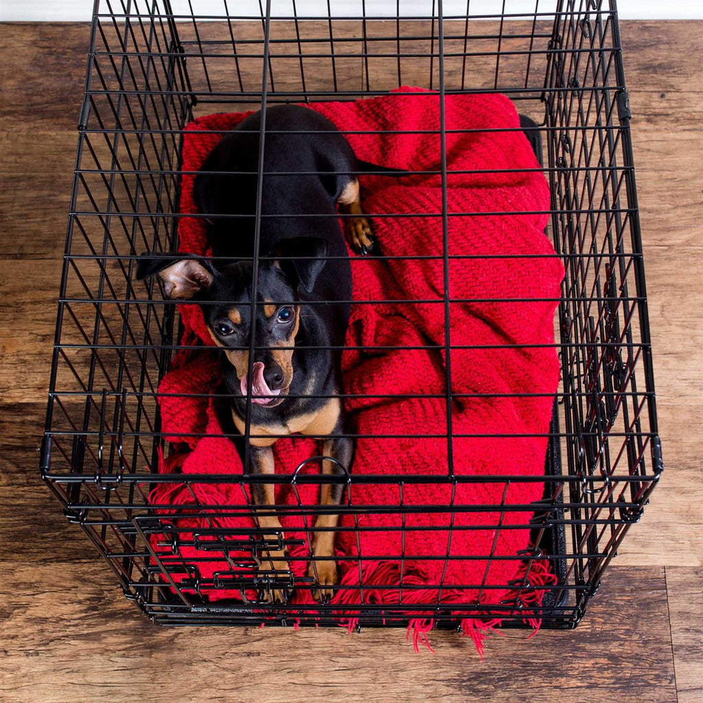 Folding Wire Dog Crate M659180
