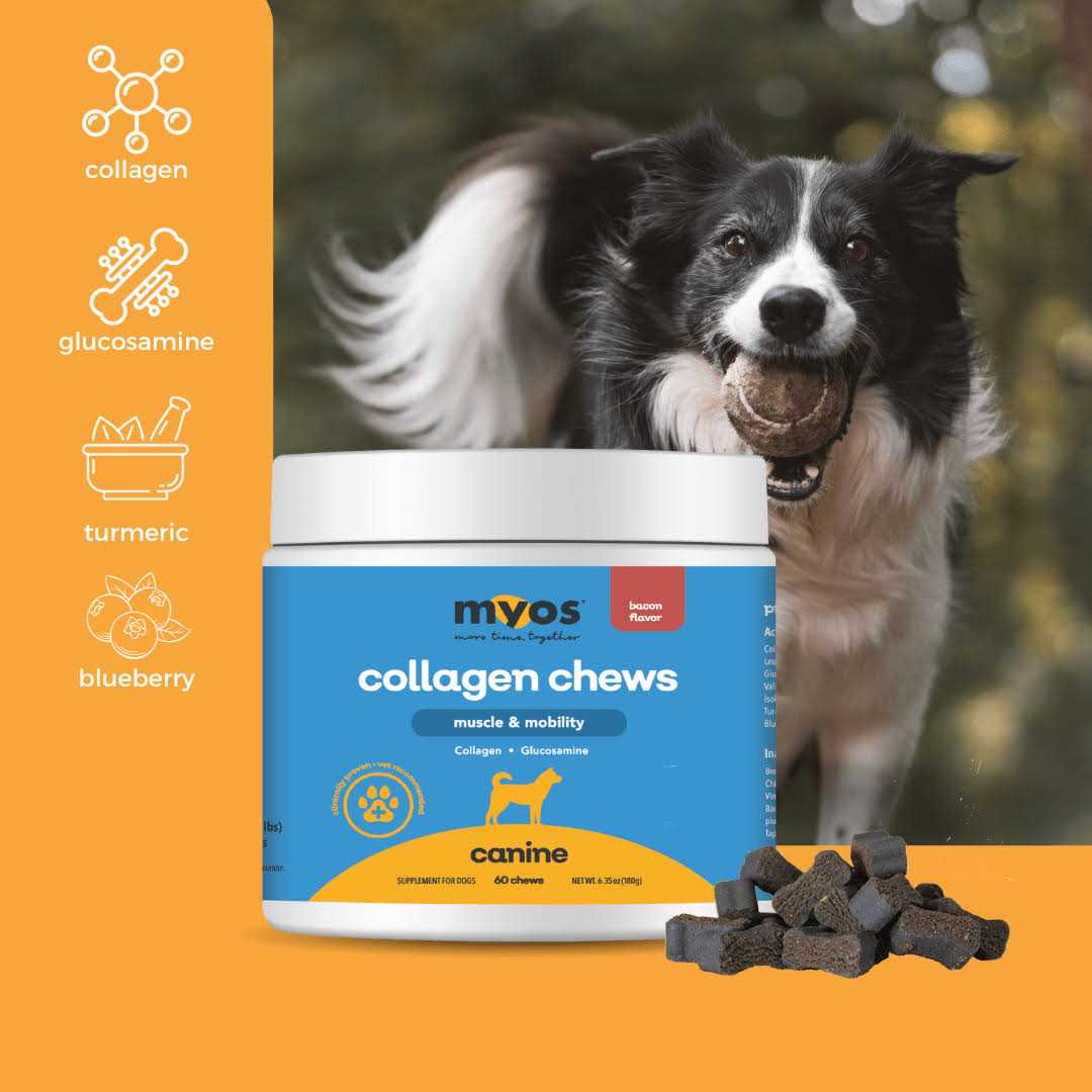 Collagen Chew for Dogs G99311