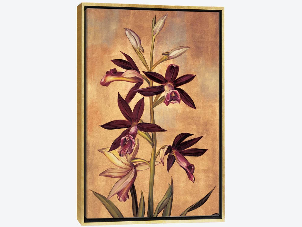 Framed Canvas Art Gold Floating Frame Burgundy Orchid T70325