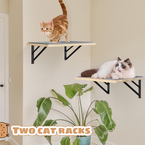 Black Cat Wall Shelves Set of 2 M856