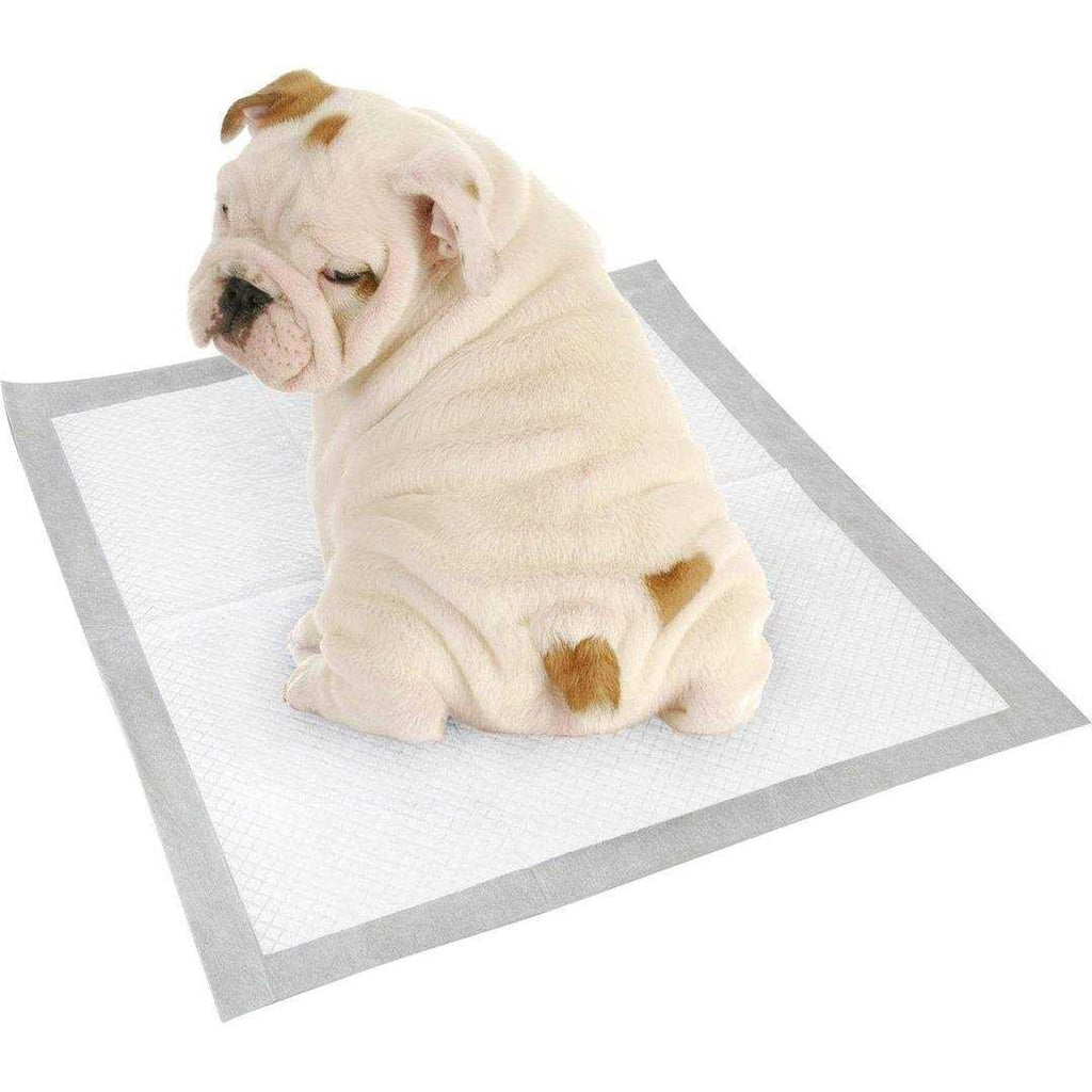 100 Pack Dog Training Pads U69289