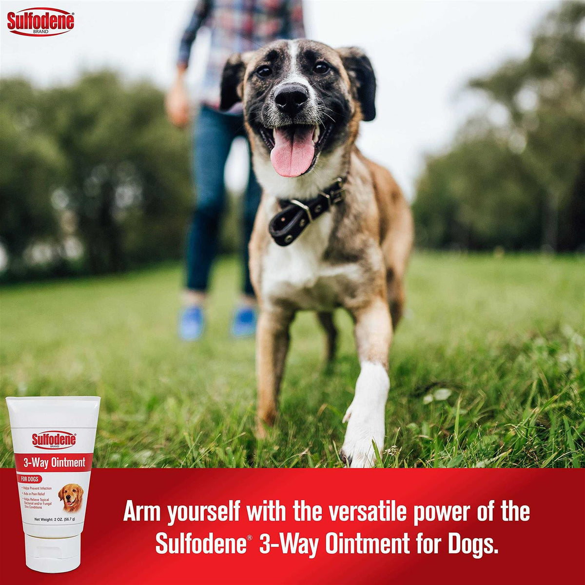 3 Way Ointment for Dogs A529