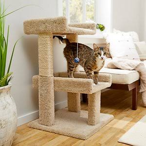 Beige Real Carpet Wooden Cat Tree L4648