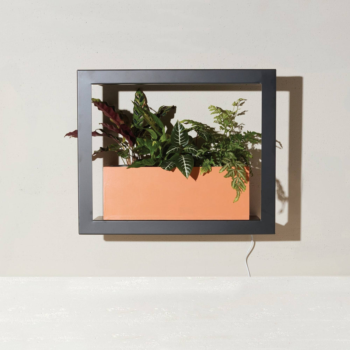 Matte Black Smart Growframe X500564