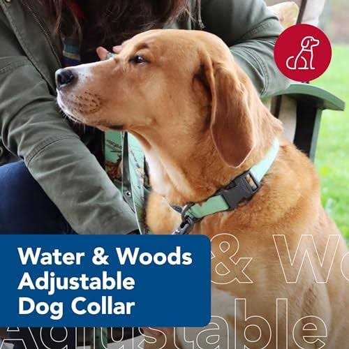 Adjustable Dog Collar G777