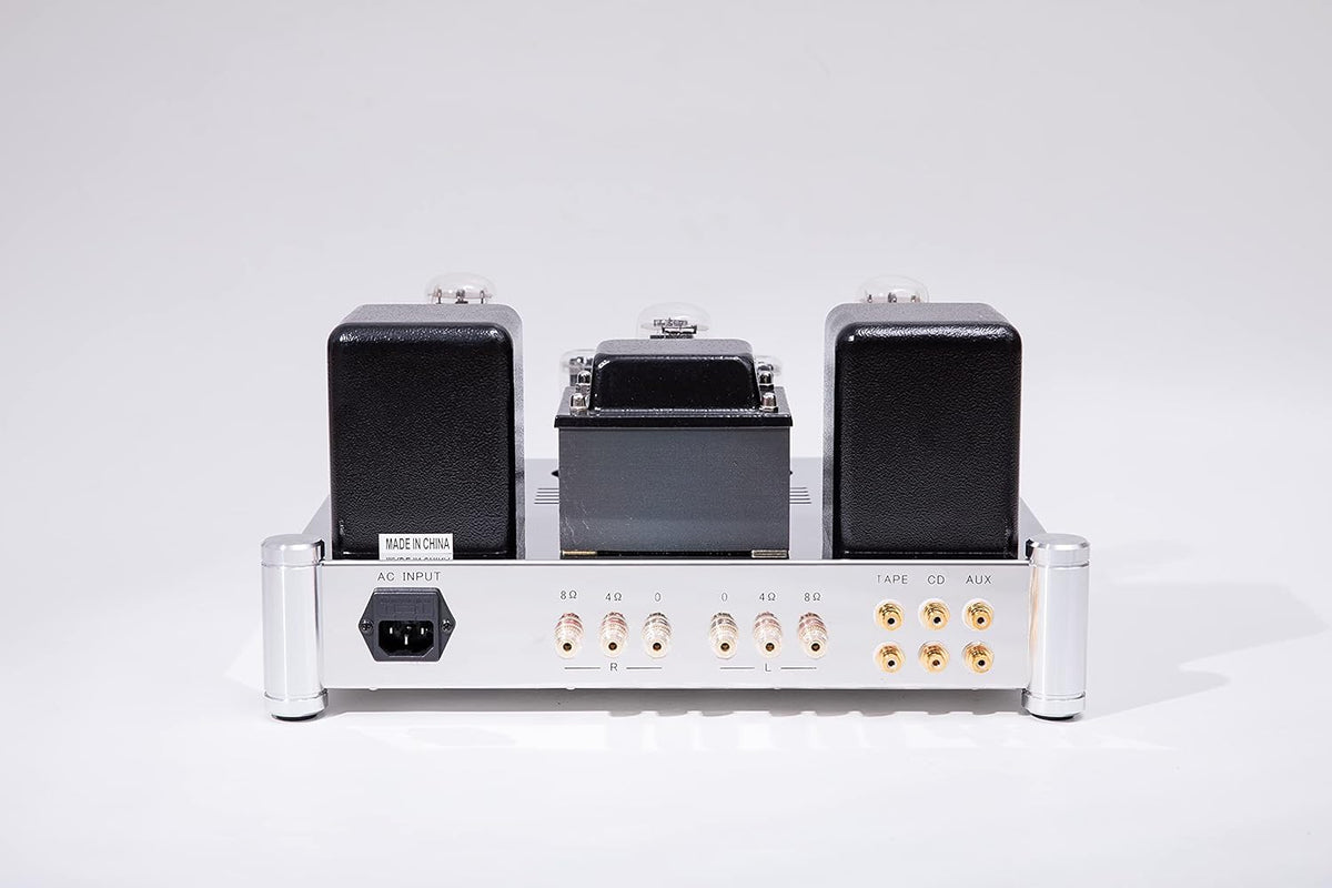 300B Tube Amplifier with Tube Cage O5440