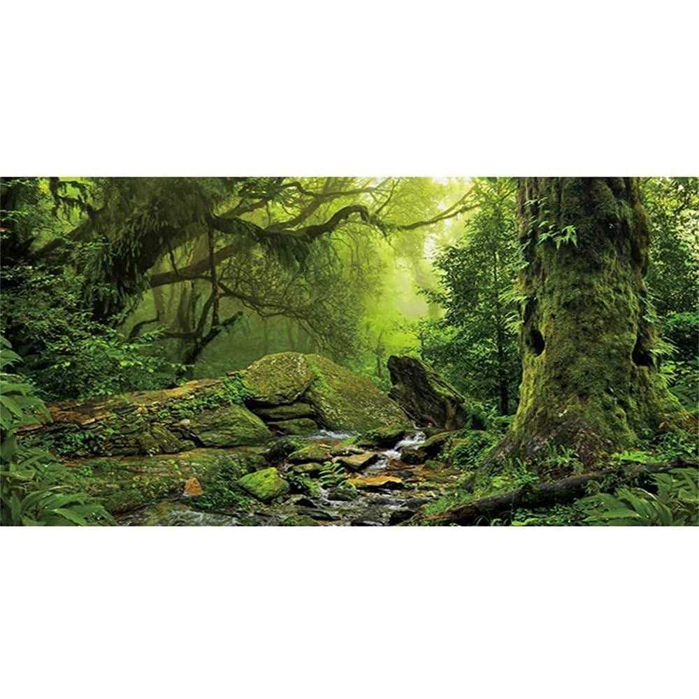 Foggy Forest Reptile Habitat Background S98525