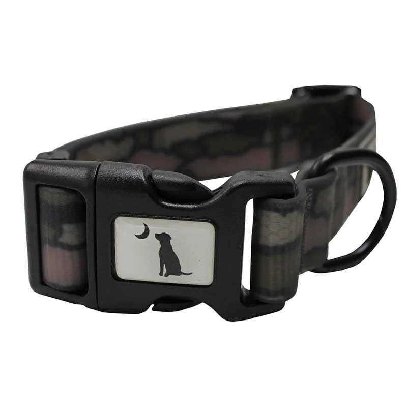 Dog Collar J447