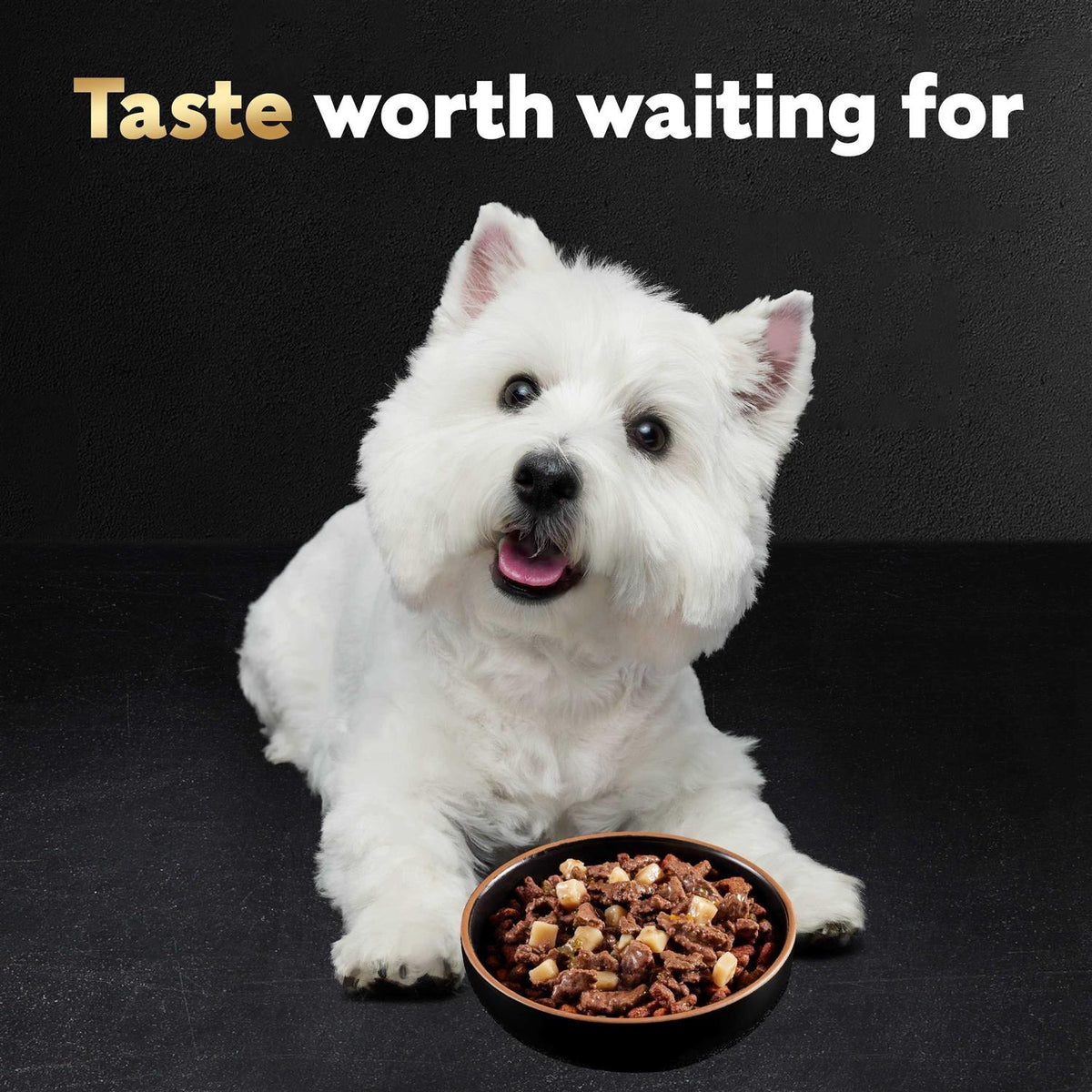 Vegetables Dog Food S95081
