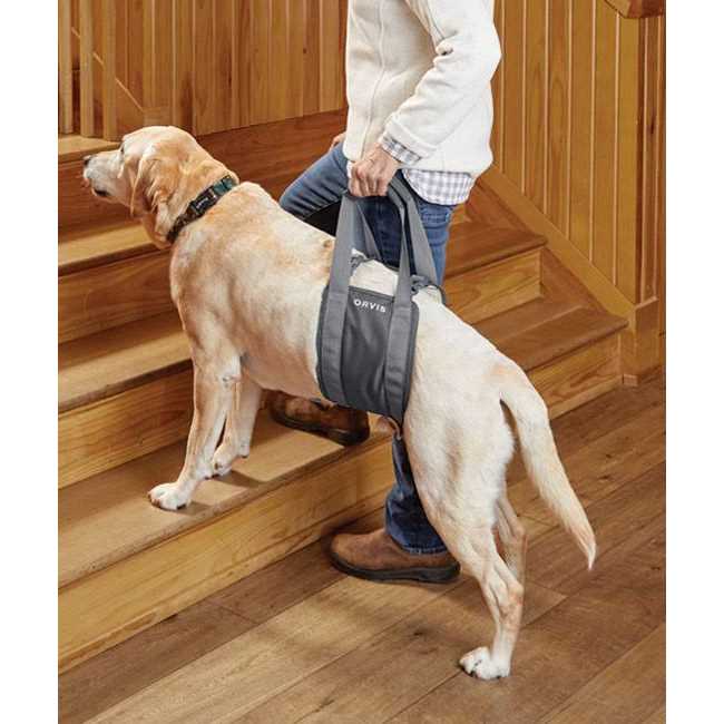 Gray Rear Dog Lift A3136