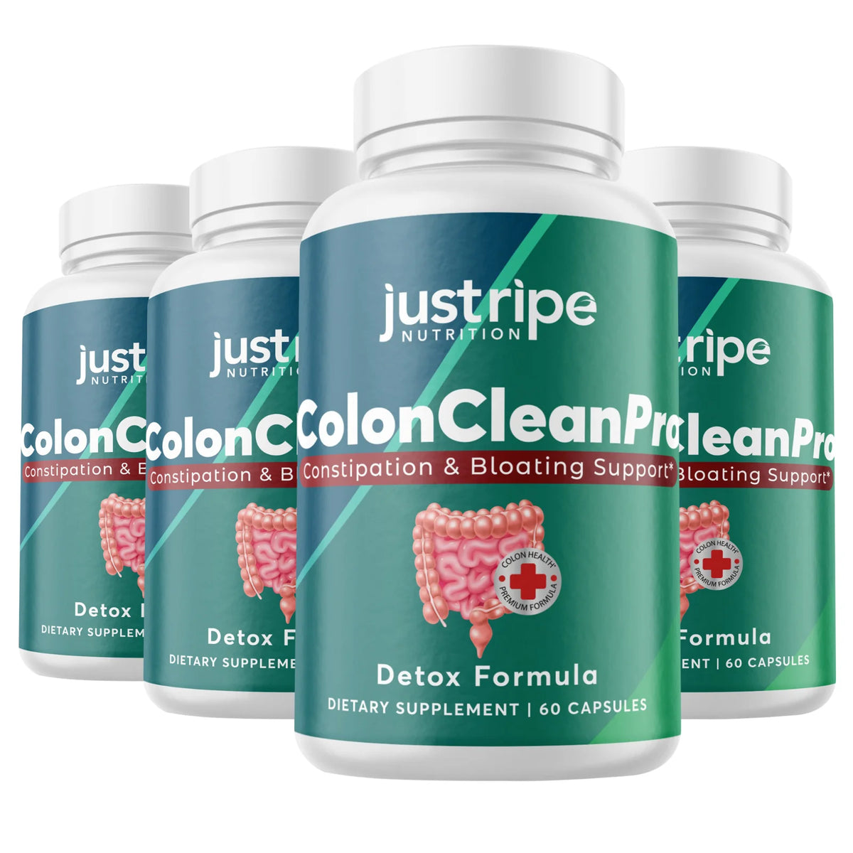 4 Pack Natural Digestive Support Supplement 60ct X754