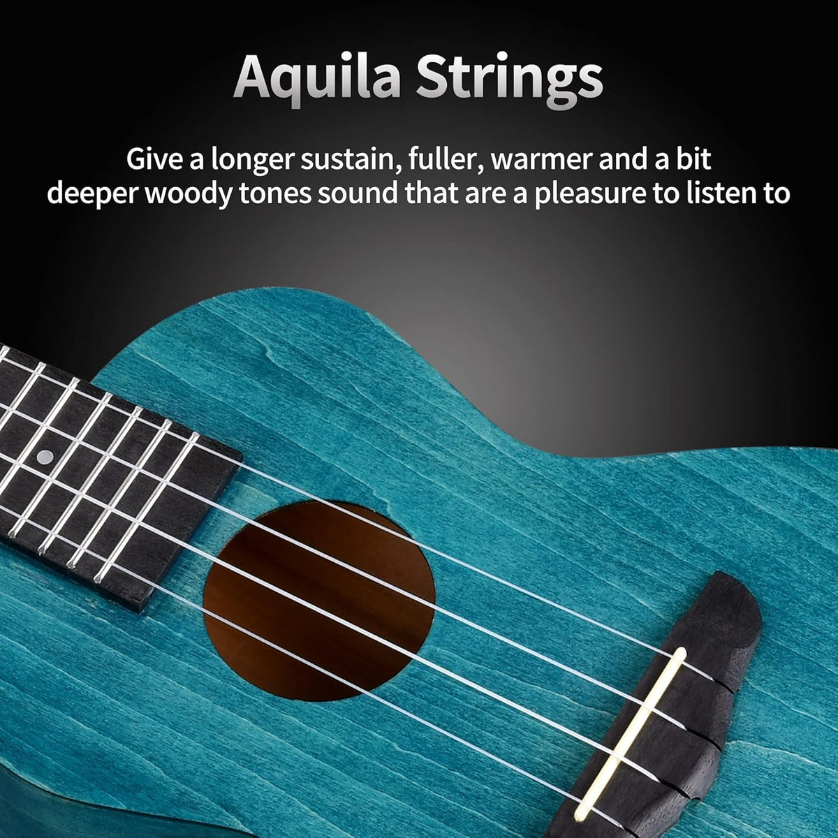 Blue Mahogany Concert Ukulele Q63265