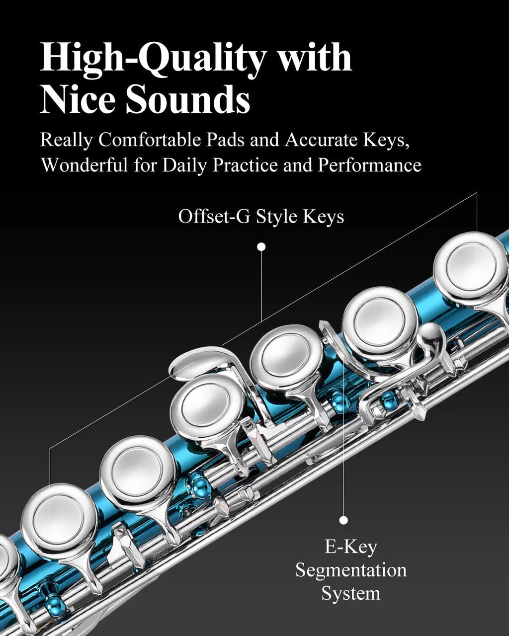 16 Key Closed Hole C Flute with Case and Stand W53083