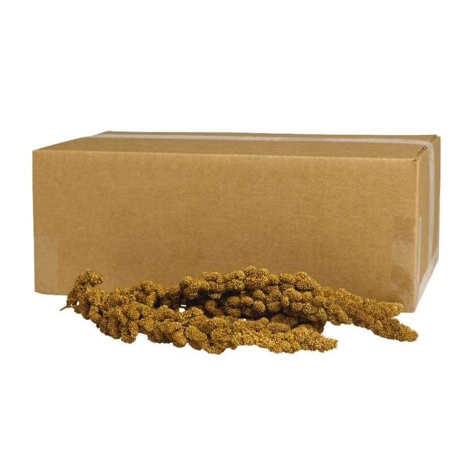 Spray Millet G712973