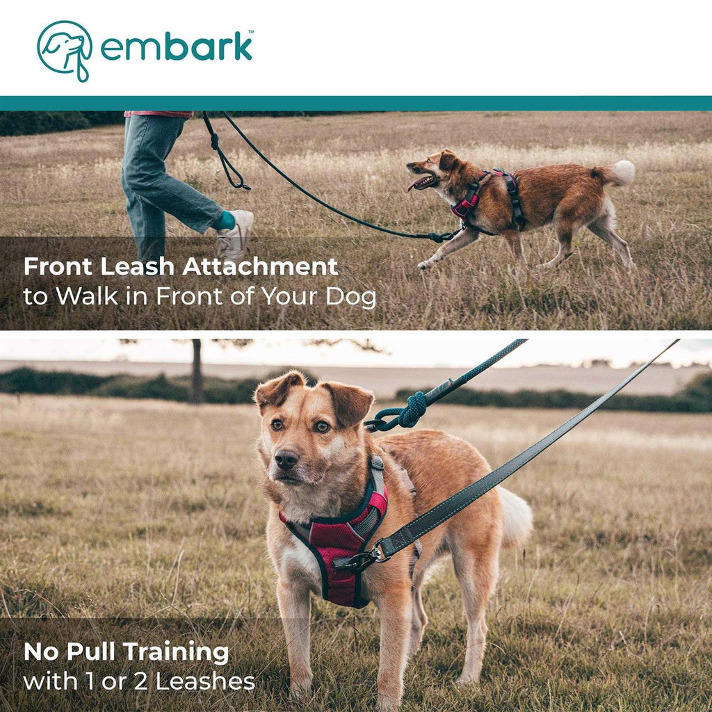 Dog Harness Leash N275