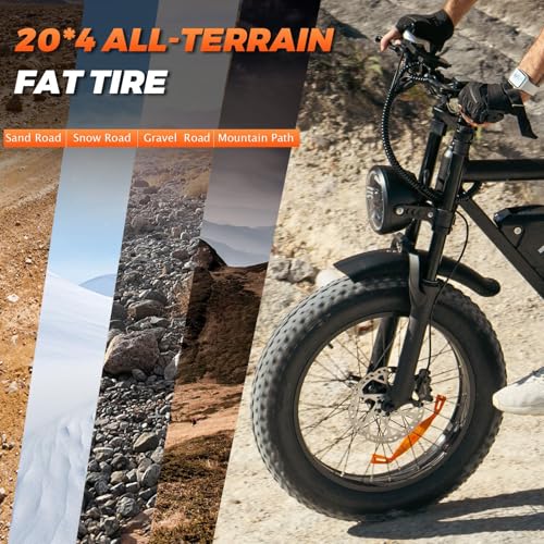 750W 48V 15Ah Removable Battery 20"x4.0" Fat Tire Full Suspension 7-Speed Electric Bike Y991878
