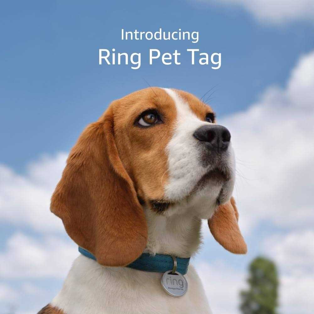 QR Code Pet Tag K367647