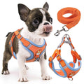 Adjustable Padded Reflective Dog Harness with 2 Leash Clips Q572