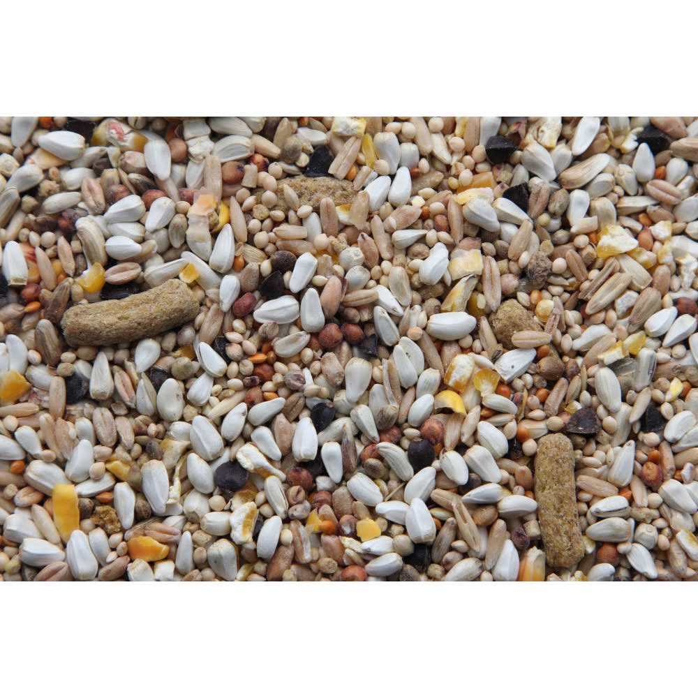 Australian Hookbill Bird Food W10375