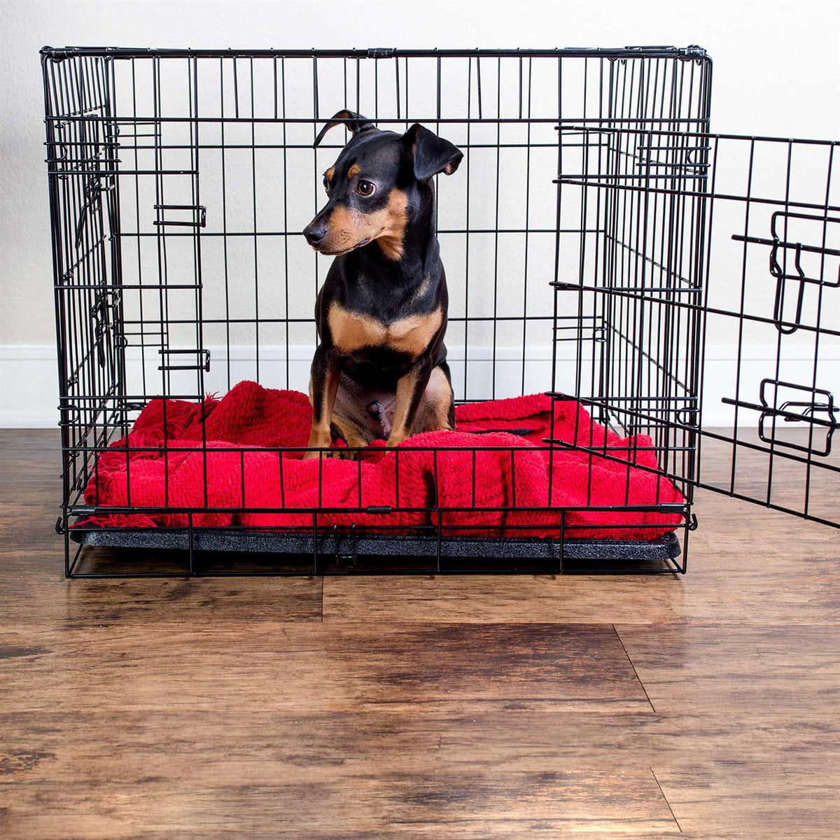 Folding Wire Dog Crate M659180