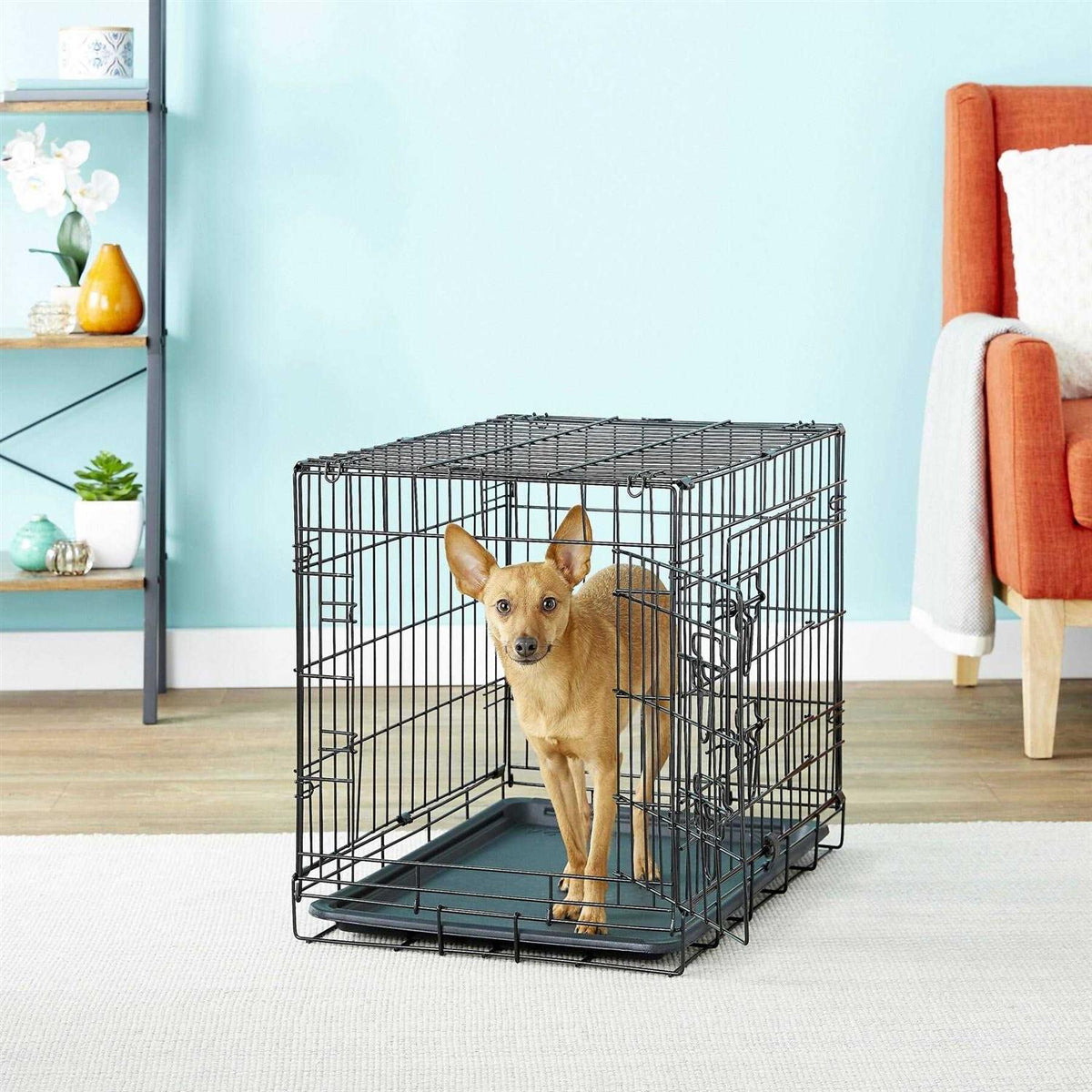 Folding Wire Dog Crate M659180