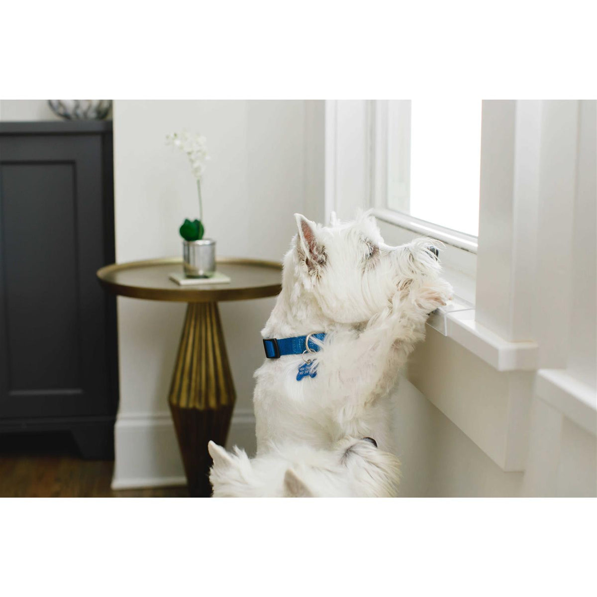 Window Sill Protector Transparent L9139
